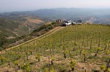 Chania Shore Excursion Off Road Vineyard and Winery Tour Half Day
