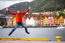 PRIVATE TOUR: Bergen city sightseeing, 4 hours