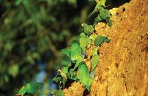 5 Day - Refugio Amazonas Classic Program - Group Service