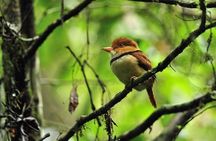 5 Day - Refugio Amazonas Classic Program - Group Service