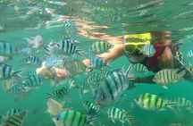 Pink Dolphin & Pig Island with Snorkeling Full Day Experience