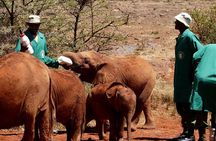 3 days Maasai Mara wildebeest migration safari