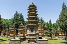 1-Day Longmen Grottoes & Shaolin Temple Tour from Xian by Round-way Bullet Train