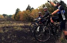 Etna in MTB Half day small group