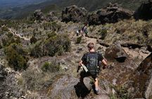 Mount Kilimanjaro Day Hike