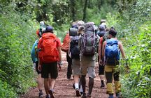 Mount Kilimanjaro Day Hike