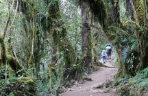 Mount Kilimanjaro Day Hike