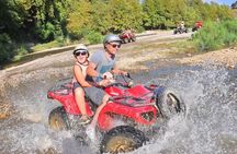 Quad Safari