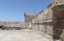 Private Day trip from Marrakesh to Essaouira beach and the fortified Medina