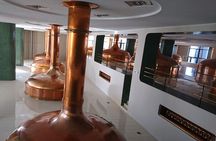 Pilsner Urquel brewery with tasting + sightseeing (from Prague)