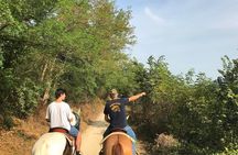Horseback riding and wine tasting