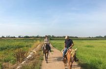 Horseback riding and wine tasting