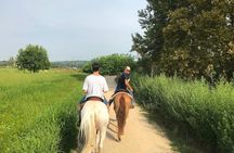Horseback riding and wine tasting