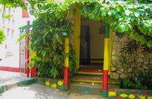 Bob Marley's Birth Place( NINE MILE )Tour