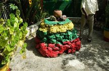 Bob Marley's Birth Place( NINE MILE )Tour