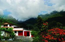 Coffee Tour La Victoria and waterfalls in Minca - Private Tour