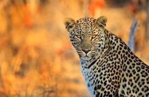 3 Day 2 Night Mikumi National Park + Masai culture