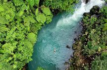 Private Tour Rio Celeste, Waterfalls, Rainforest, Sloth Encounter