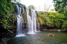 Full-Day Private Nature and Wildlife Tour in Costa Rica 