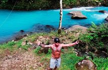 Private Tour Rio Celeste, Waterfalls, Rainforest, Sloth Encounter