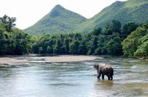 2 day 1 night Elephant World Kanchanaburi from Bangkok