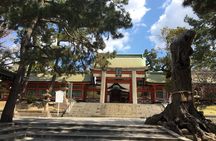 Full-Day Private Guided Tour to Historical Osaka

