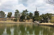 Full-Day Private Guided Tour to Nara Temples