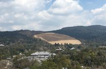 Full-Day Private Guided Tour to Nara Temples