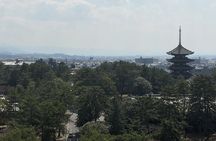 Full-Day Private Guided Tour to Nara Temples
