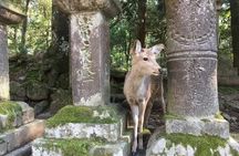 Full-Day Private Guided Tour to Nara Temples