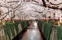 Tokyo Private Customizable Half Day Tour
