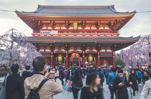 Tokyo Private Customizable Half Day Tour