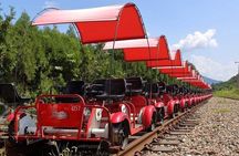 Alpaca World with Gangchon Rail Park One Day Tour