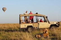 4 Days Masai Mara and Lake Nakuru Budget Safari Meals included