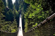 Vancouver, Capilano Suspension & Grouse Mountain Private Tour 
