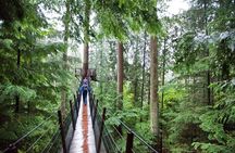 Best Of Vancouver Small-Group Tour w/Capilano + Grouse Mtn Lunch