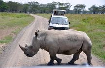 Nairobi National Park, Giraffe center & Beads Factory Guided Day Tour