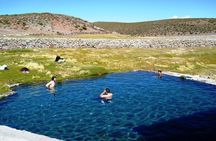 Isluga National Park Tour