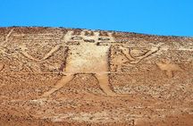 Isluga National Park Tour