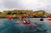 Marietas Islands Snorkeling & Hidden Beach Experience
