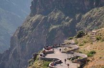Colca Canyon 2d / 1n and landing in Puno