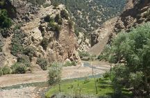 Atlas Mountain, Valleys, Camels & Waterfalls -Trip from Marrakech