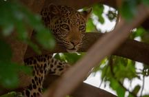 2 Day Wildlife Experience and Masai Culture Mikumi Park