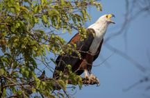 2 Day Wildlife Experience and Masai Culture Mikumi Park