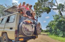 Selous/Nyerere National Park Day Trip 