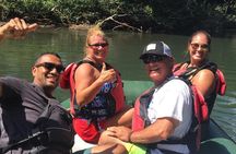 Full-Day Private Nature and Wildlife Tour in Costa Rica 