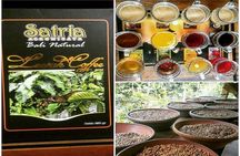 Bali Instagramable Tour