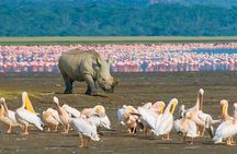 4 Days Masai Mara and Lake Nakuru Budget Safari Meals included