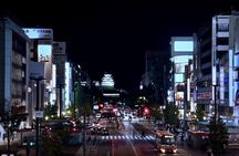 Himeji Private Customizable Full Day Tour