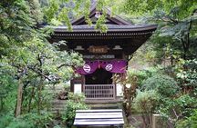Kamakura Private Customizable Half Day Tour